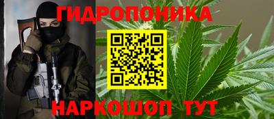 тгк Волгодонск