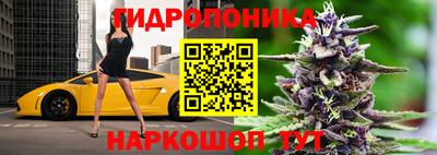тгк Волгодонск