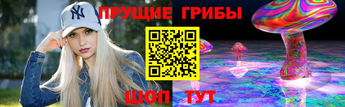 Псилоцибиновые грибы Psilocybe  Вход с VPN  Большой Камень  Галлюциногенные грибы прущие грибы 